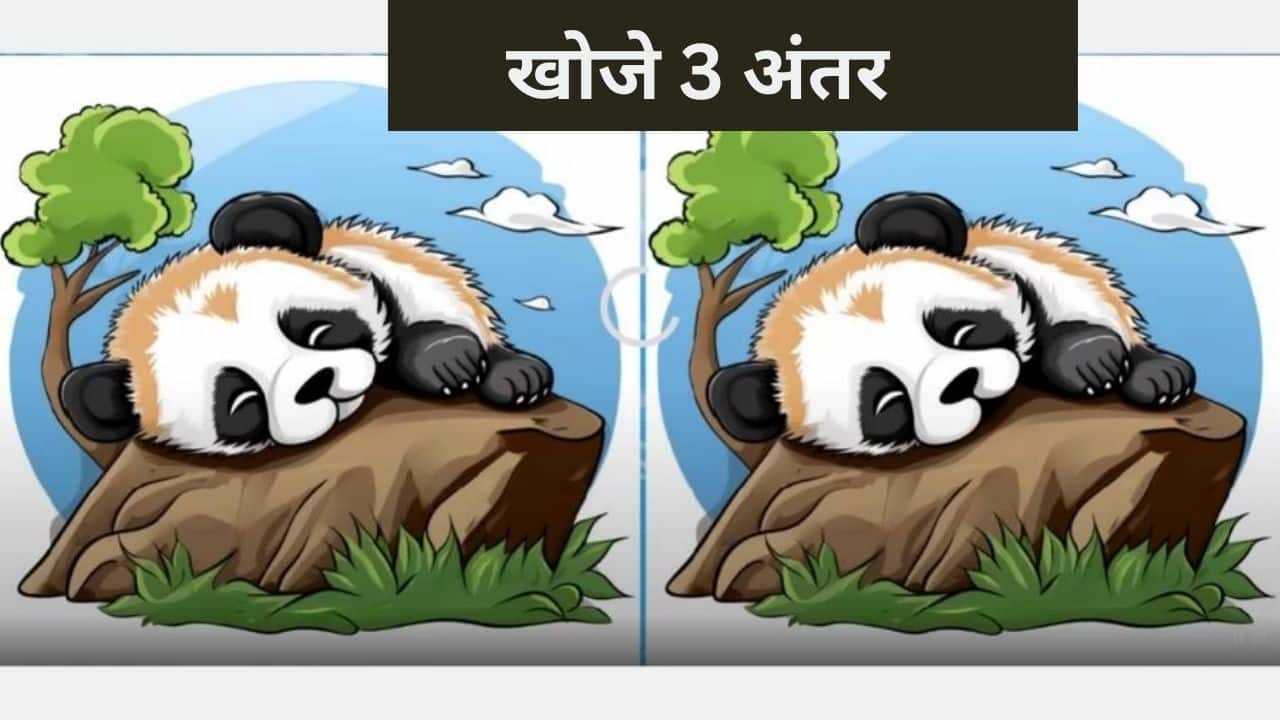 केवल जीनियस लोग ही खोज पाएंगे lazy Panda की इस फोटो में छुपे 3 अंतर, क्या आप खोज पाओगे